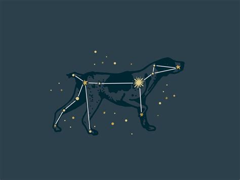 constellation with a dog