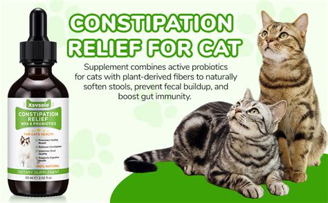 constipated cat relief