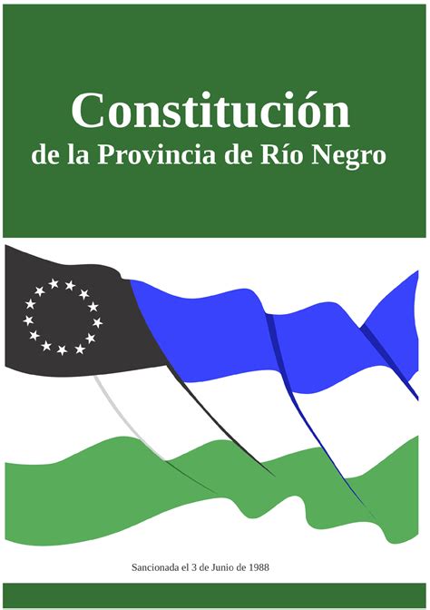 constitucion de la provincia de rio negro