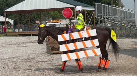 Construction Horses