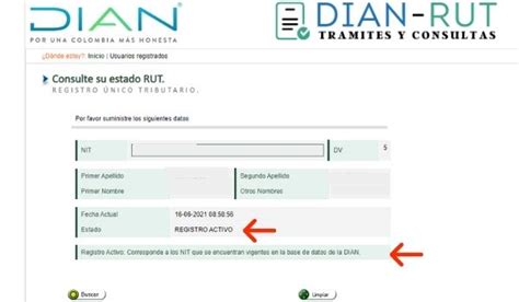 consulta el estado del rut dian