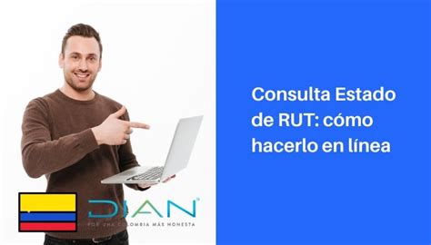 consulta estado de rut gratis