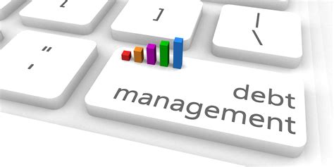consultancy debt management software