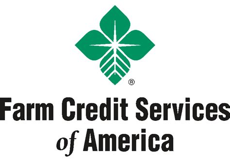 consumer credit services of america