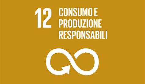 Agenda 2030, Obiettivo 12: Consumo e produzione responsabile