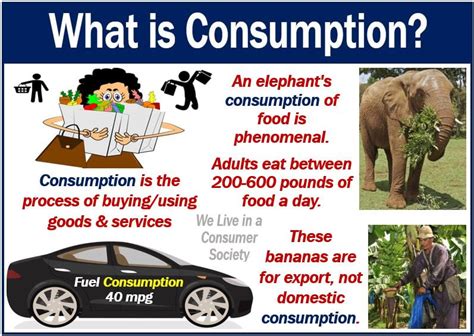 consumption meaning in english with example