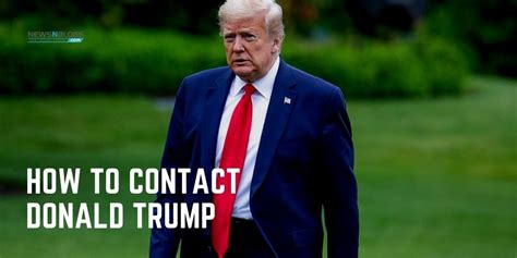 contact for donald trump