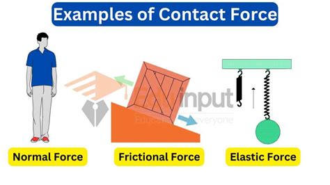 contact force with example