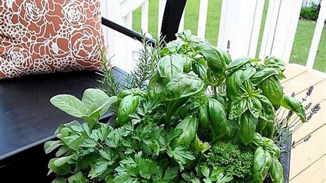 Unveiling the Secrets of Container Herb Gardens: A Journey of Flavor and Discovery
