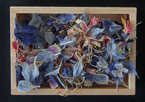 Container For Dried Flower Petals