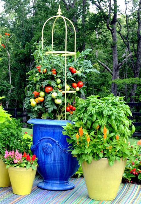 container garden vegetables