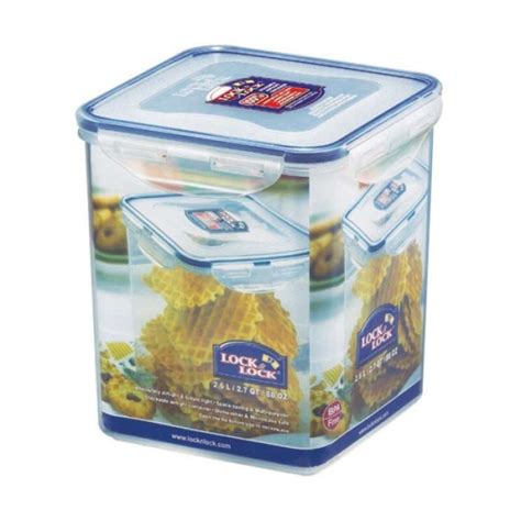 container lock and lock