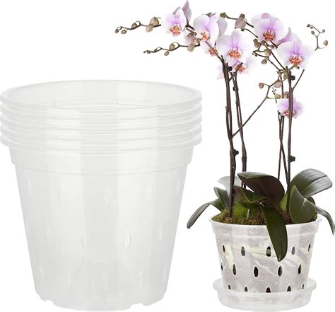 Containers For Orchid Plants