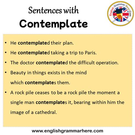 contemplate in a sentence