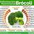 contenido nutricional del brocoli