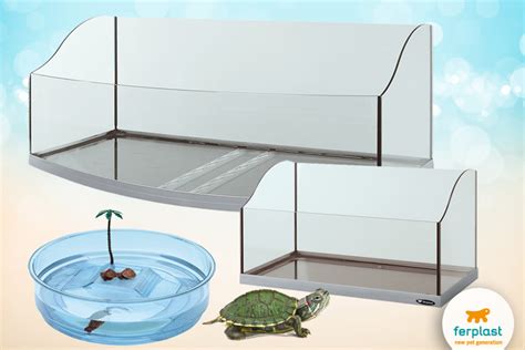 contenitore per tartarughe d'acqua