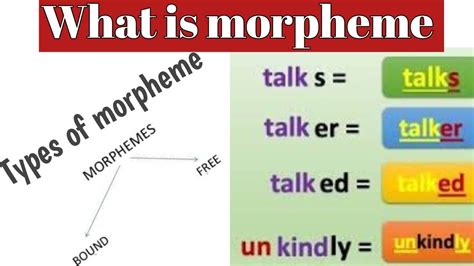 Content Morpheme Examples