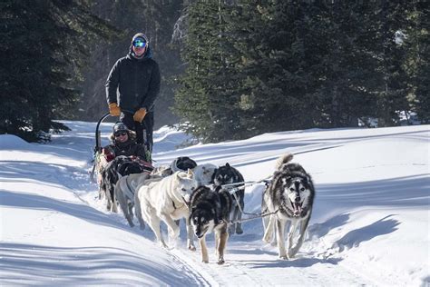 Jackson Hole WY and Yellowstone Dogsledding About Continental Divide