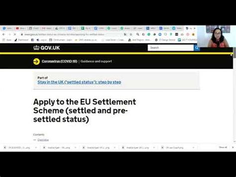 continue eu settlement application