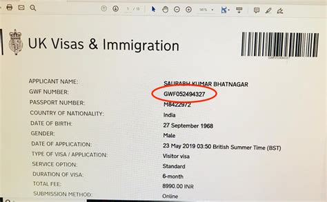 continue my visa application uk