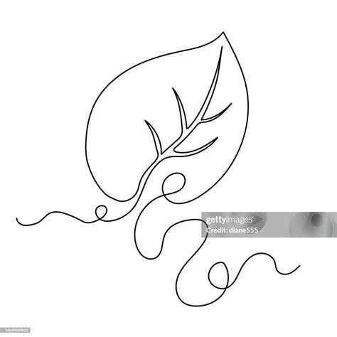 Continuous Line Monstera Leaf. Tropical Leaves Contour Drawing Stock