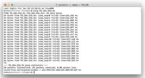 continuous ping command in mac