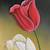 contoh lukisan bunga tulip