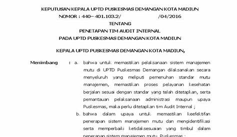 SK Tim Audit Mutu Internal - STAIN.pdf - Google Drive