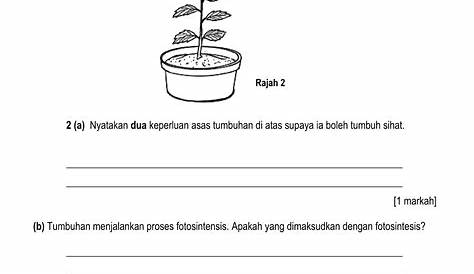 Contoh Soalan Sains Tahun 1 - omscry