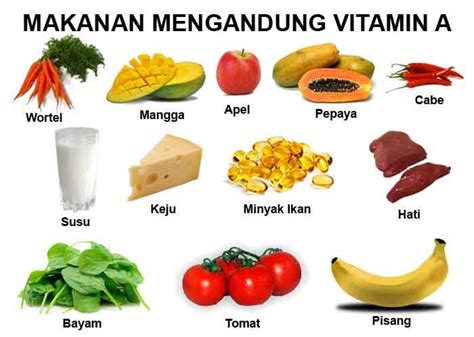 Vitamin Adalah Jenis, Fungsi, Manfaat, Contoh, Dampak Dan Gambarnya
