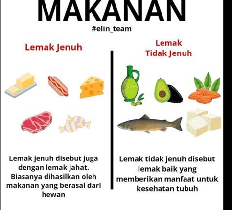 Contoh Asam Lemak Tidak Jenuh: Kelebihan dan Kekurangan