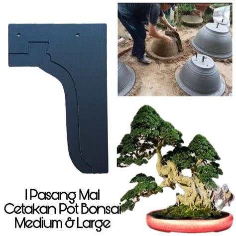 Contoh Mal Pot Bonsai kumpulan jenis bonsai