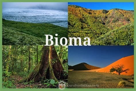 Contoh Nama Bioma