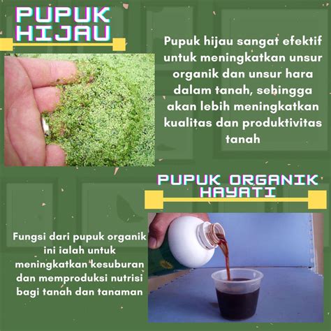 Contoh Pupuk Organik Adalah in Indonesia