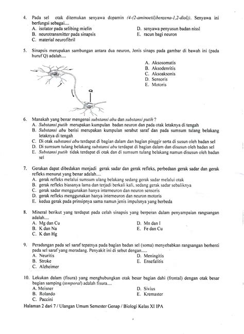 Contoh Soal PAT Biologi Kelas 10 Semester 2
