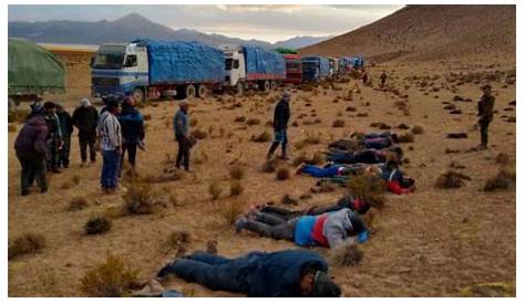 Contrabando En Frontera Chile Bolivia Creará Cuarteles Anticontrabando Las s