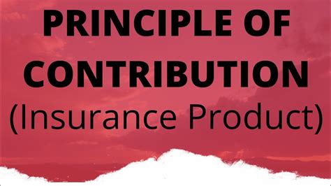 Contribution Principle In Life Insurance Thismycircus