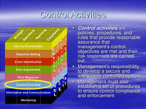 Control Activities Business Definition
