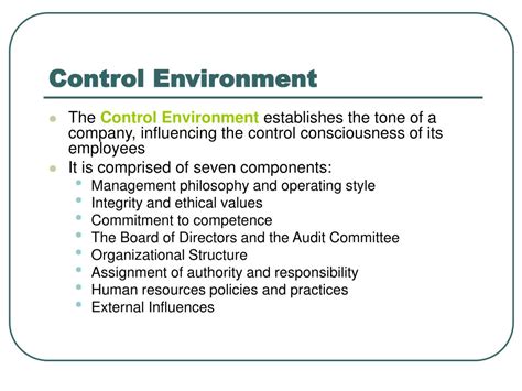 Control Environment Vs Control Activities