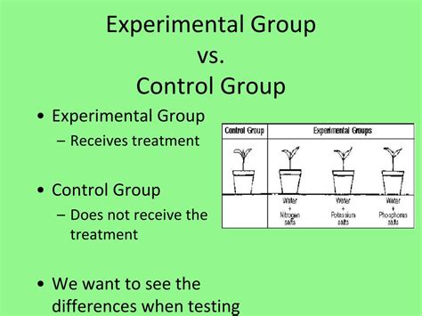 Control Group Vs Comparison Group