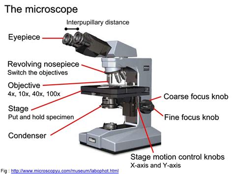 Control Knob Microscope