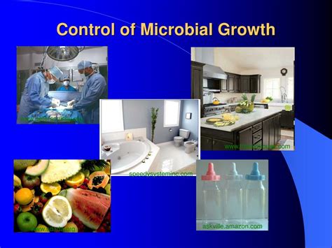 control of microbial growth