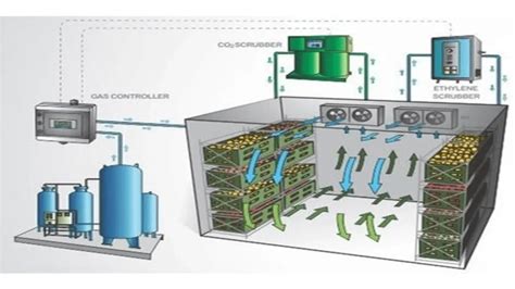 Controlled Atmosphere Packaging Examples
