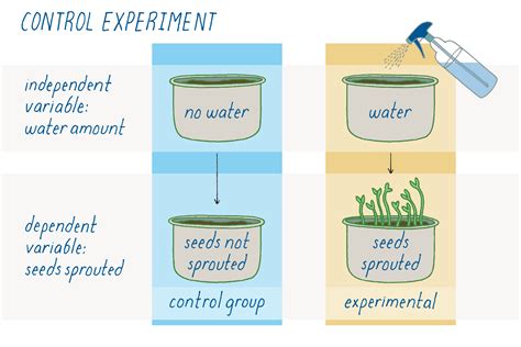 Controlled Experiment Biology