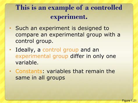 controlled experiment example sentence