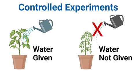 controlled experiment examples in real life