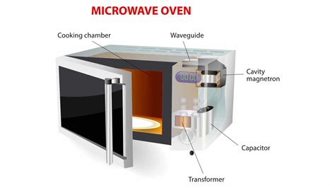 Convection Microwave Common Problems