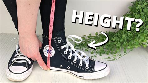 Converse Heel Height