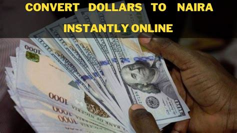 convert 100 euros to naira