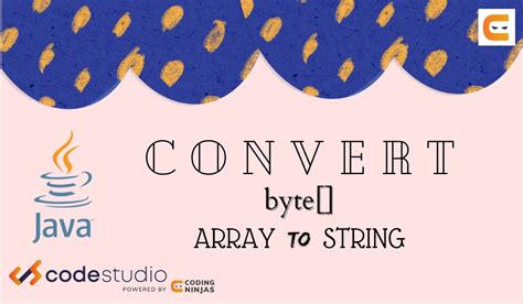 Convert Ascii Byte Array To String Java